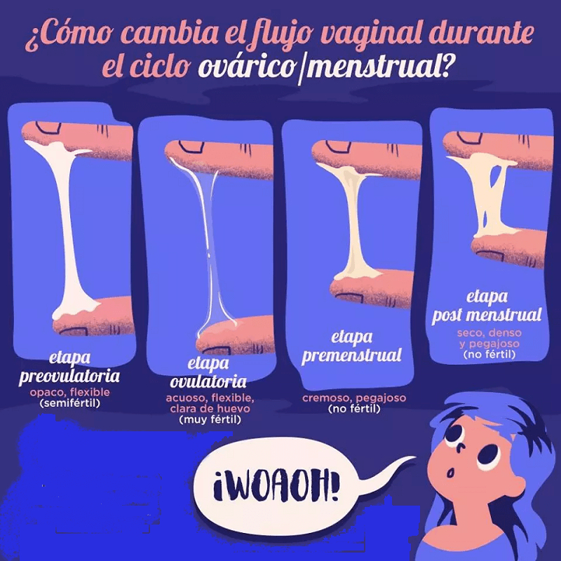 flujo vaginal