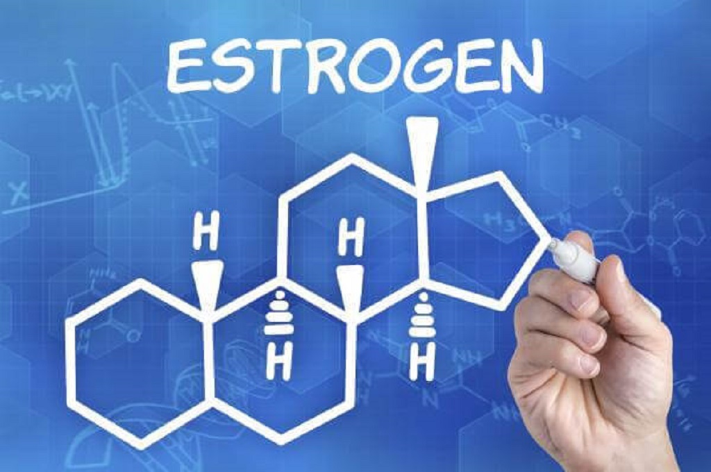 estrogenos