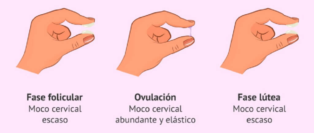 flujo vaginal